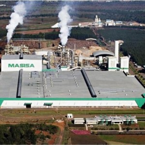 masisa